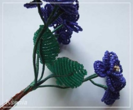 Violete de la clasa maestrilor de margele pentru țesutul unei flori de casă