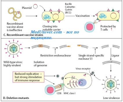 Vaccinuri genetice (recombinate)