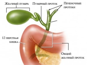 Hipotensiunea vezicii biliare