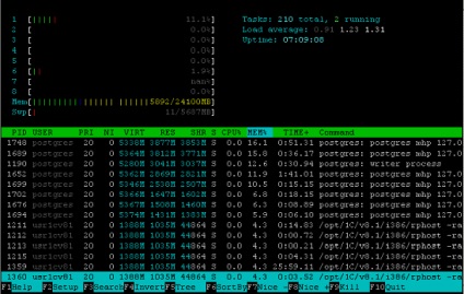 Htop - Monitor de proces