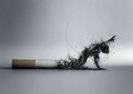 Informații interesante despre fumat și tutun