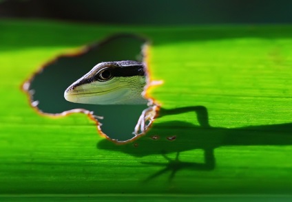 Folosim iluminatul natural în fotografie