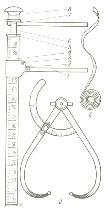 Câini de măsurare, rase de bază, conceptul de anatomie și fiziologie, creșterea câinilor, consiliere