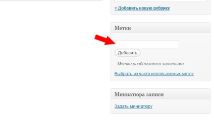 Cum se adaugă și se atribuie etichete wordpress