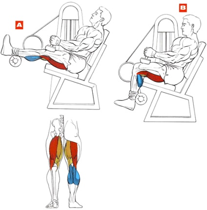 Cum să pompa picioarele la un exercițiu de picior începător eficient - viața mea