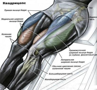 Cum să pompa picioarele la un exercițiu de picior începător eficient - viața mea