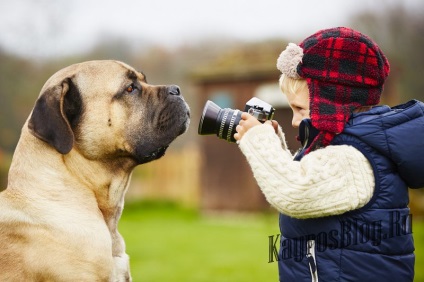 Cum de a învăța fotografie - sfaturi pentru începători