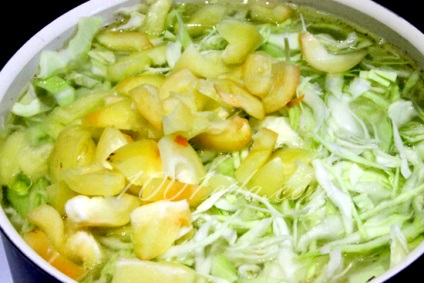 Hogyan készítsünk leves friss káposztaból sózott paradicsommal - leves 1001 ételből