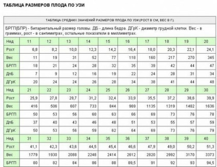 Cum se calculează greutatea unui copil în calculatorul unui uter