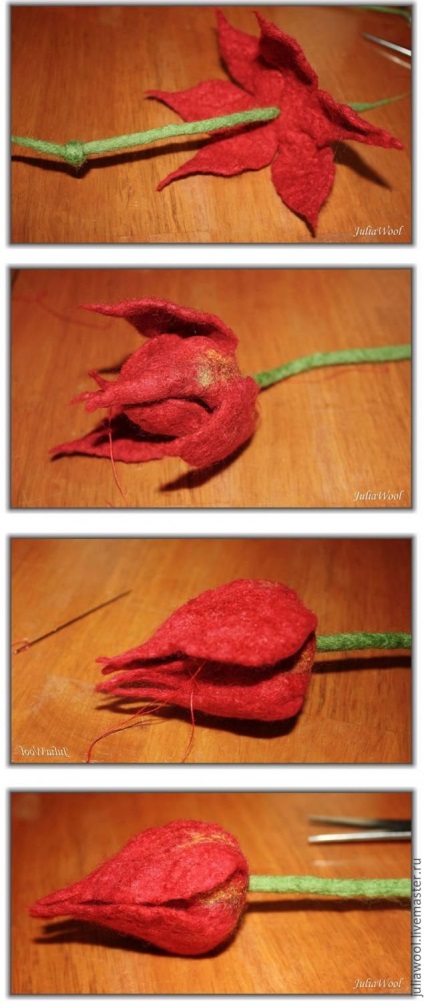 Cum de a strânge un Tulip - Târg de Maeștri - manual, manual