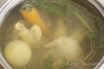 Cum să gătești supa de pește - un cerc de cunoștințe