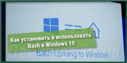 Cum se instalează și se folosește bash în ferestre 10