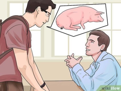 Cum să aveți grijă de un porc cu pneumonie