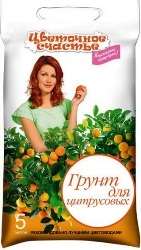 Calamondine aranyos citrus a gyűjteményben 3472