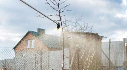 Aplicarea carbamidei în grădină și în grădină