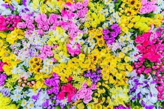 Flori vectori de fundal de fundal, fișiere foto și psd, descărcați
