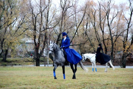 Cărucior ecvestru 