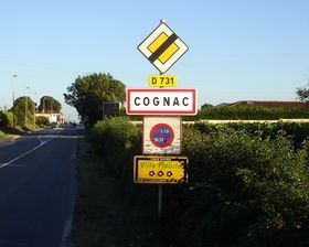 Cognac - mycicerone