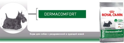 Royal canin mini dermacomfort pentru câini cu piele sensibilă - cumpăra ieftin la moscow în