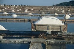 Atracții culturale și naturale, ribiške počitnice