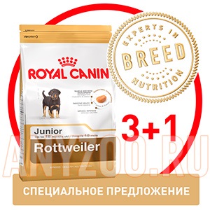 Cumpărați câine regal mediu de dermacomfort canin regal pentru câini de rase mijlocii predispuse la piele