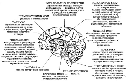 Tratamentul accidentului vascular cerebral