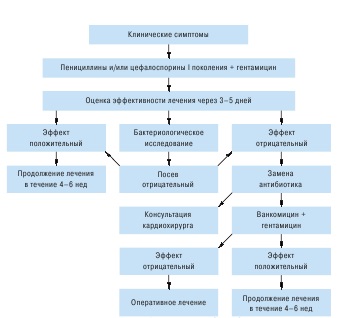 Tratamentul endocarditei infecțioase se bazează pe mai multe principii