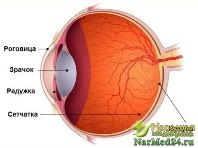 Degenerarea maculară a retinei, simptomatologia, diagnosticul și tratamentul bolii