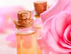 Rose Oil