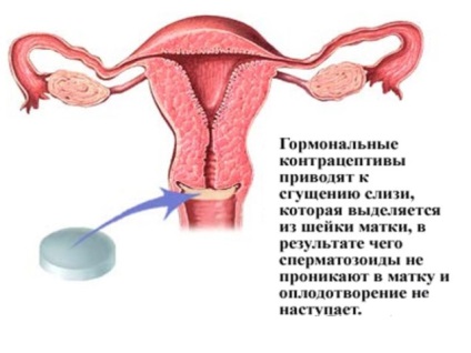 Lunar la recepția belaras și după o întârziere, o întârziere, o absență, nu au venit