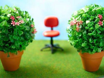 Flori și plante de birou
