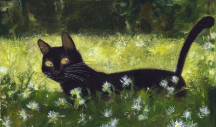 A macskákról usskiy művész Arinushkin Andrey