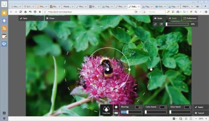 Servicii online pentru editarea rapidă a imaginilor, presă pe calculator