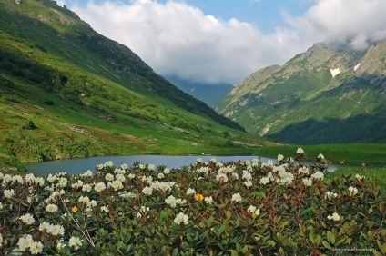 Lacul valea dzitaku