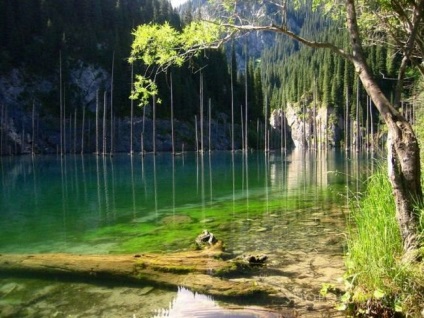 Lacul Kaindy cum să ajungi acolo, tur, program, fotografie, descrierea traseului