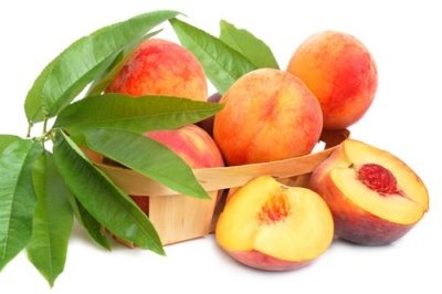 Peach descrierea obișnuită varietate, plantare și de îngrijire
