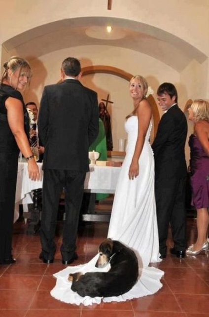 O selecție de fotografii de nunta amuzante și nereușite (53 fotografii) - trinitate