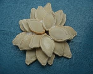 Artizanat din semințe de dovleac cu mâinile lor