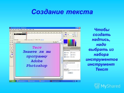 Prezentare privind crearea unui test interactiv într-un mediu flash macromedia