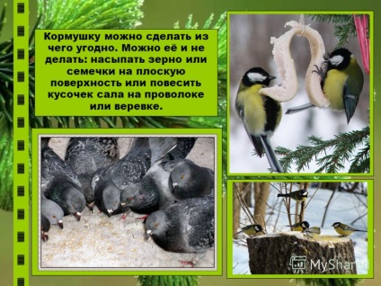 Prezentare pe tema prezentării albumelor de hrănire a păsărilor de iarnă a păsărilor de hrană pentru păsări