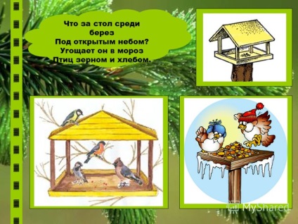 Prezentare pe tema prezentării albumelor de hrănire a păsărilor de iarnă a păsărilor de hrană pentru păsări