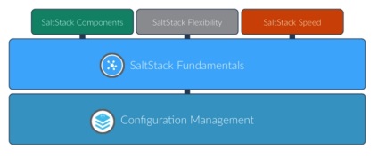 Принципът на работа и структурата saltstack