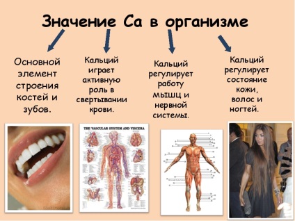 Продукти що містять кальцій і магній, а також їх користь