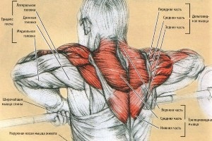 Întinzându-se cu o bară în picioare - exercițiul de bază pentru mușchii umerilor