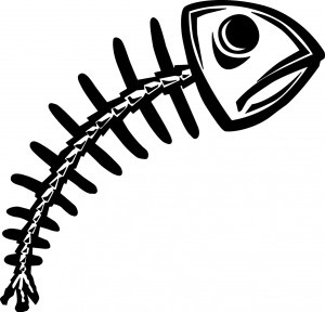 Fisheye schelet - ishikawa kaoru, didactor