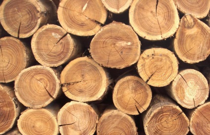 Rusia a început să exporte mai mult lemn și să câștige mai puțin pe el