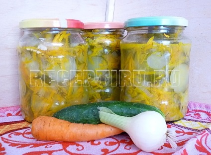 Salata de castravete cu morcovi pentru iarna (fara sterilizare), retete de preparare acasa