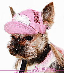 Caps for a dog - divatos kötött kalapok értékesítése az interneten