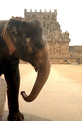 Elefant în cultura indiană, cultura indiană, india în rusă ~ ghid live