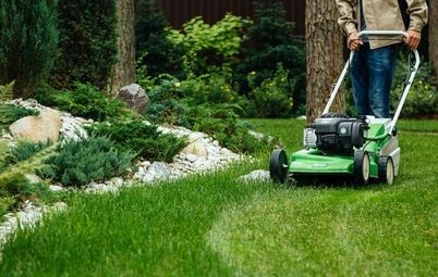 Construcția pe un teren de pădure ca să nu facă mult rău naturii